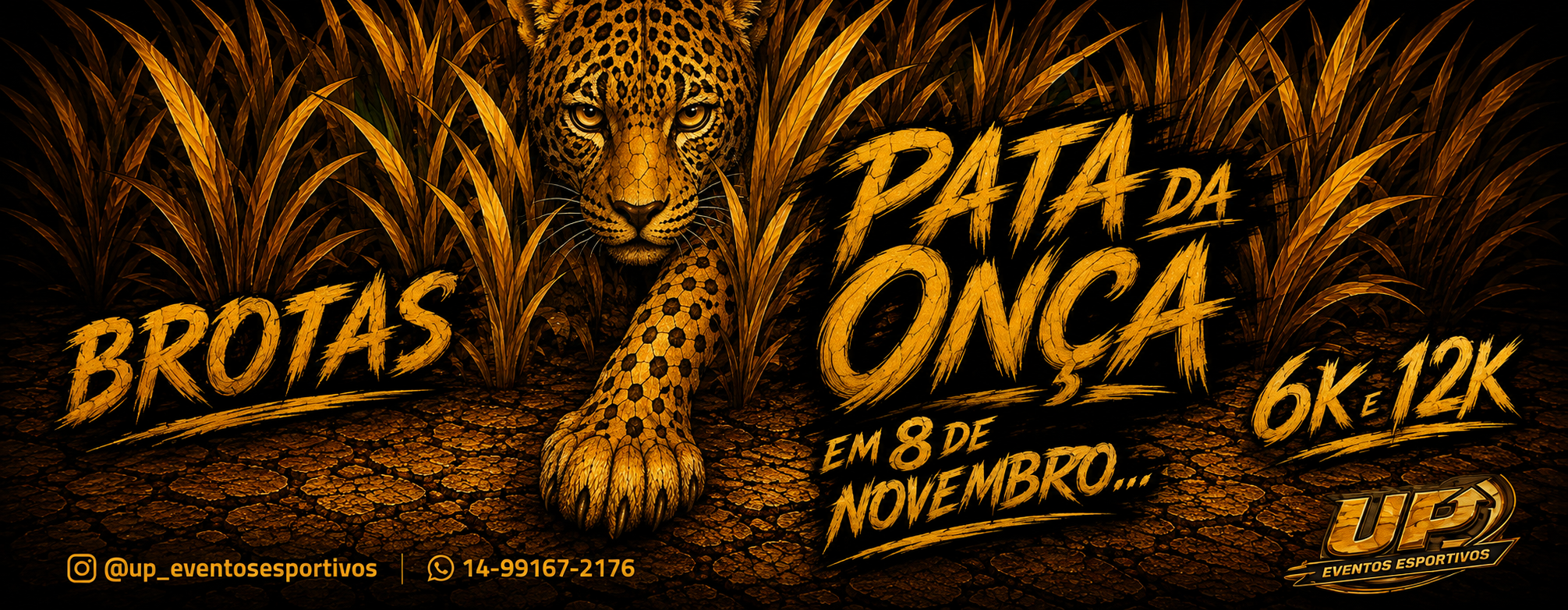 Imagem de capa do evento CORRIDA PATA DA ONÇA